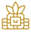 Paixão pelo Peru