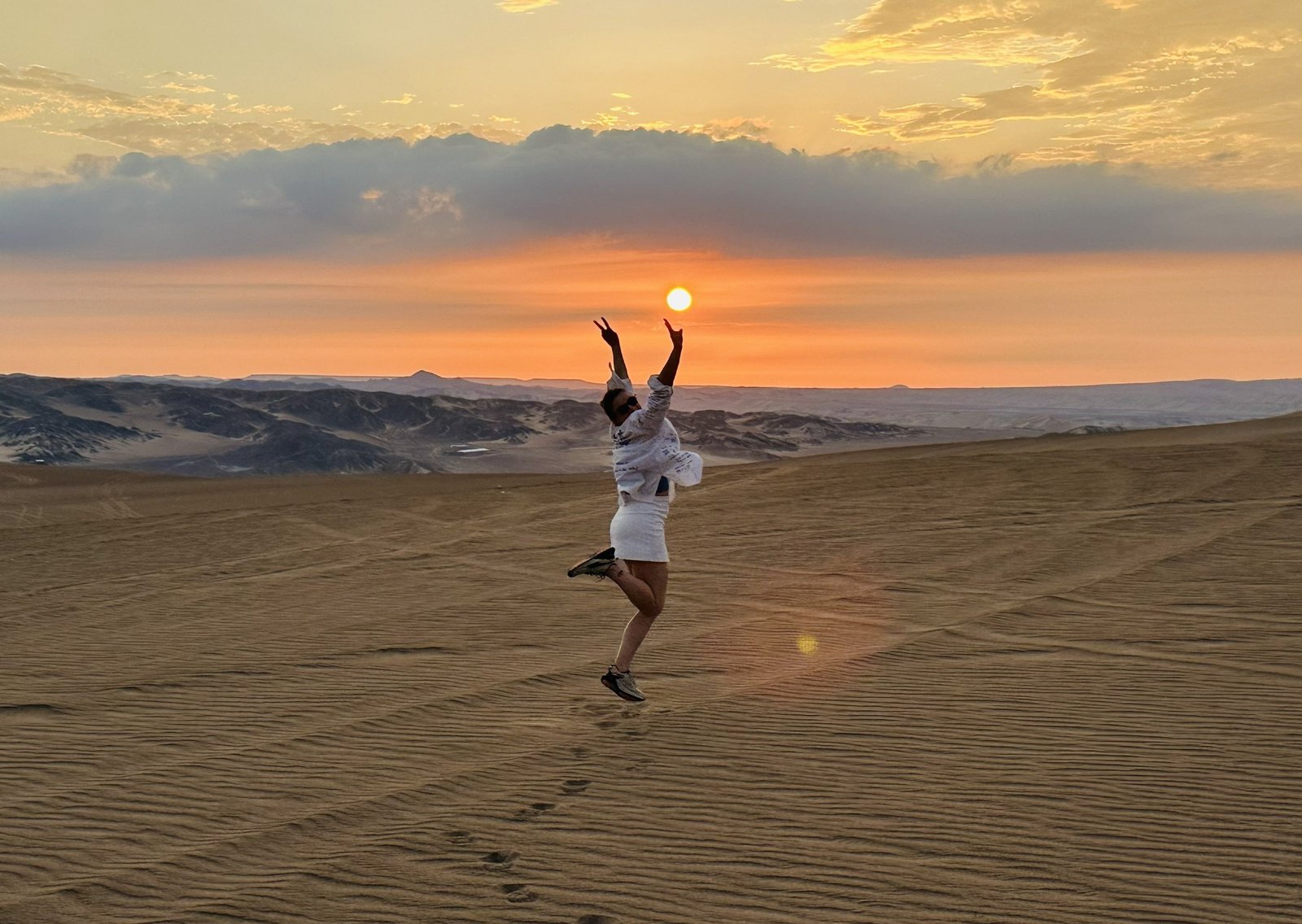 Ilhas Ballestas & Deserto de Huacachina 1 Dia